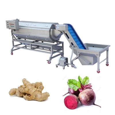 Commercial Supply Industrial Stainless Steel Ginger Gasket Peeler Machine with 10 Brushes for 500-800 kg/h Hour Capacity Washing and Peeling Machine