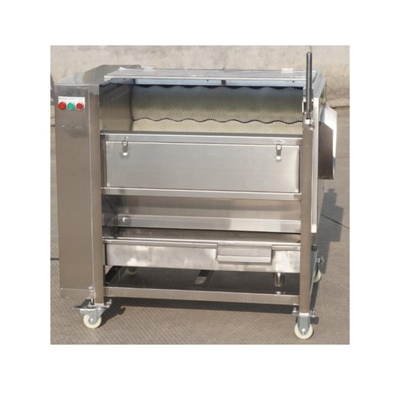 2020 high efficiency vegetable washing machine best selling vegetable and fruit peeling machine for sale vegetable washing and peeling machine