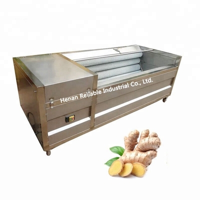High Efficiency Easy Operate Ginger Washing And Peeling Machine / Ginger Washing / Peeling Machine Price